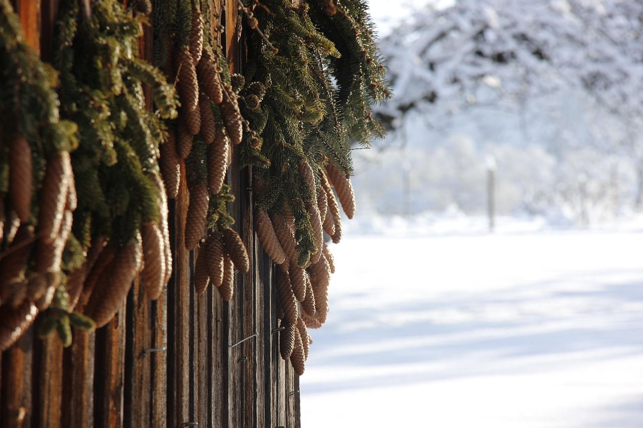 häutligen, zapfen, wood, winter, schnee holz, s, snow, nature, cold, decoration, deco
