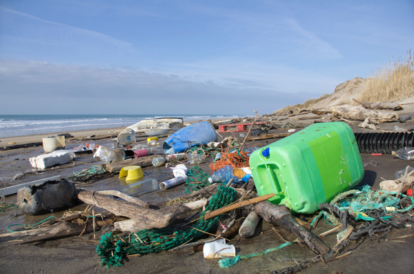 Umweltschden nein Danke - Darauf sollten Sie im tglichen Leben achten