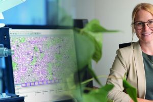 „Ich erlebe bei der GFaI ein Arbeitsumfeld auf Augenhöhe.“