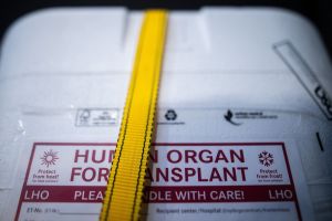 Illustration - Organspende