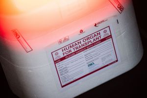 Illustration - Organspende