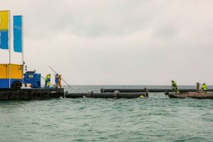 Im Kampf gegen die Quaggamuschel