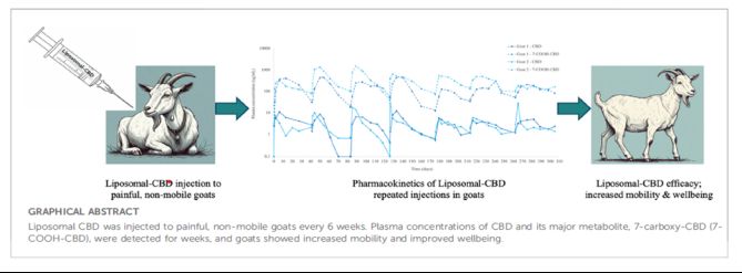 Innocan Pharma meldet vielversprechende translationale Evidenz aus einer Schmerzlinderungsstudie zur wiederholten Verabreichung von LPT-CBD an Ziegen