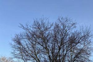 Innovatives Fortbildungsmodell