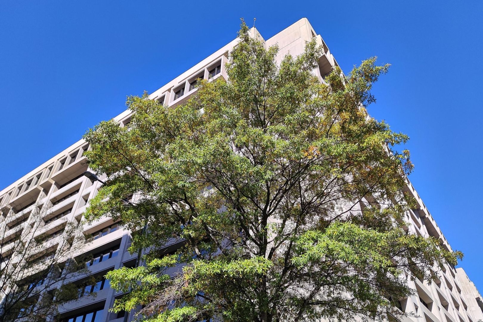 Internationaler Währungsfonds (Archiv)