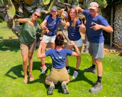 Internationales Jahr der Freiwilligen 2026: Globales Engagement gewinnt an Bedeutung