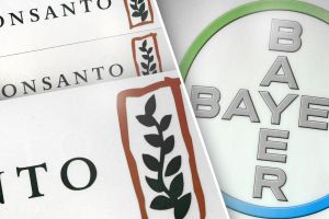 Ist Bayers Plan gegen die Glyphosat-Klagen kühn genug?