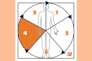 IWiG – Digitale Transformation gestalten