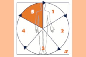 IWiG – Prozess-Evaluation: Die entscheidende Phase im Workflow-Management