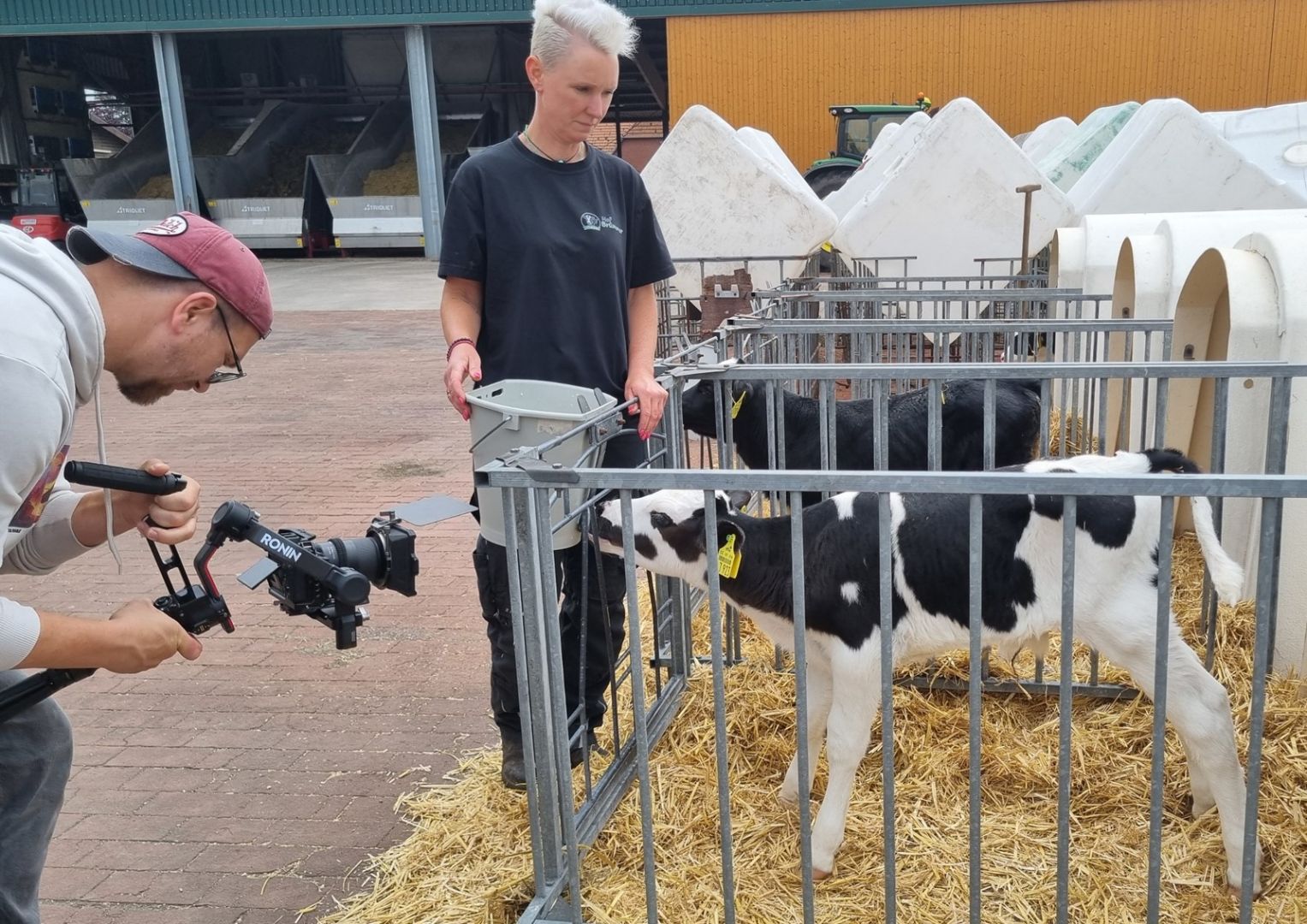 Jetzt gibt es „EinSichten in die Tierhaltung“ auch im Film