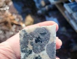 Junos Entdeckung kritischer Mineralien bei Vespa erweitert sich um schwere Seltenerd-Magnetmetalle