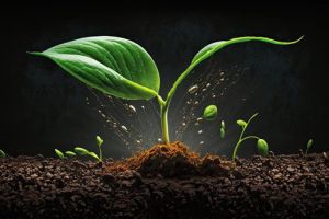 Kali ist kein „nice to have“, sondern systemrelevant – und jetzt in den USA offiziell auch „kritisch“!