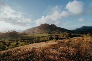 Kalo Gold identifiziert kilometerlange Gold-Trends auf Fidschi! Wainikoro im Fokus