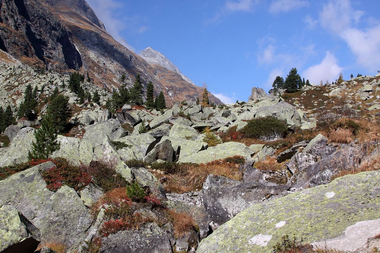kals, herbst, autumn, nature, colorful, october, tirol