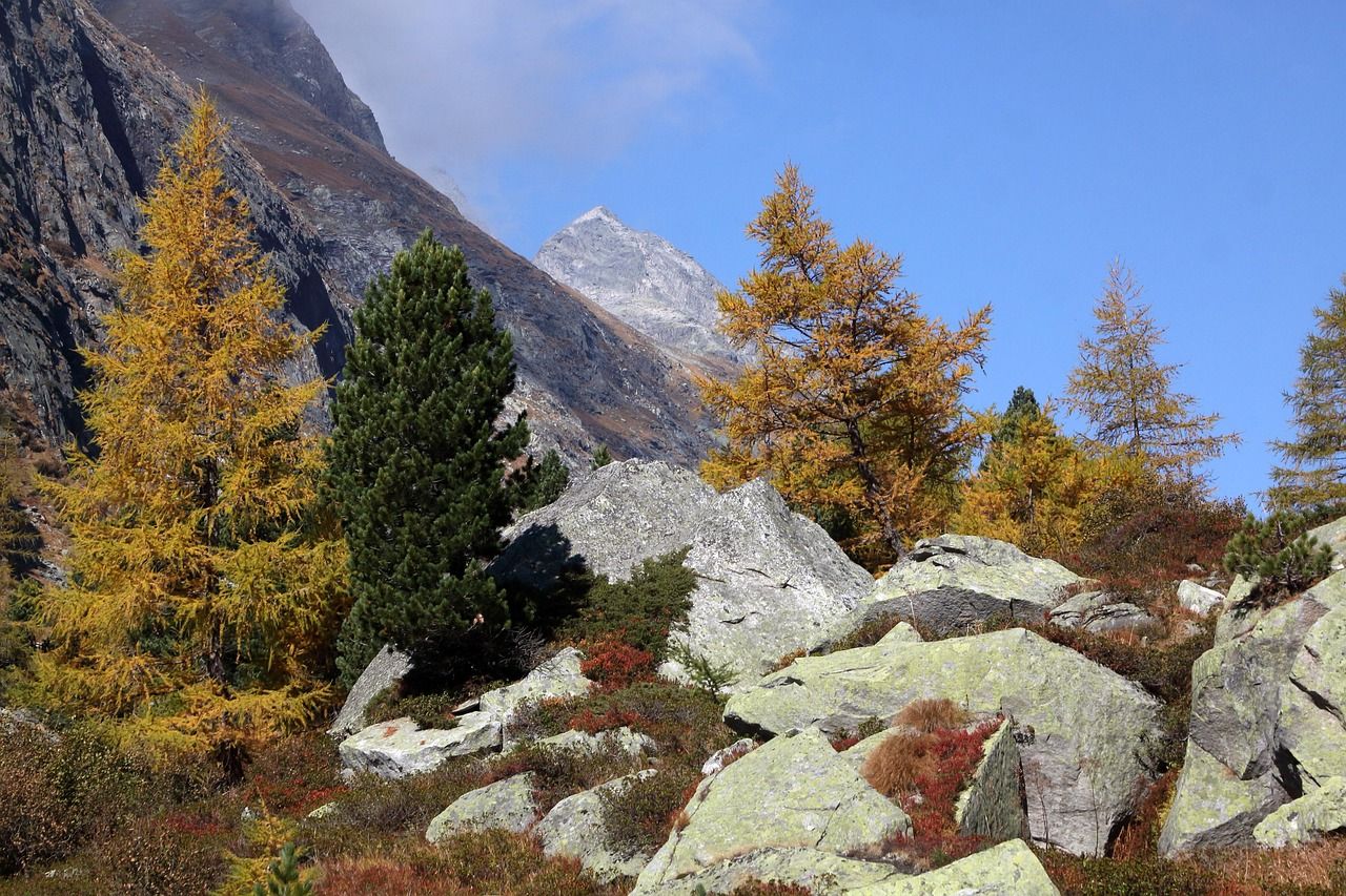 kals, herbst, autumn, nature, colorful, october, tirol