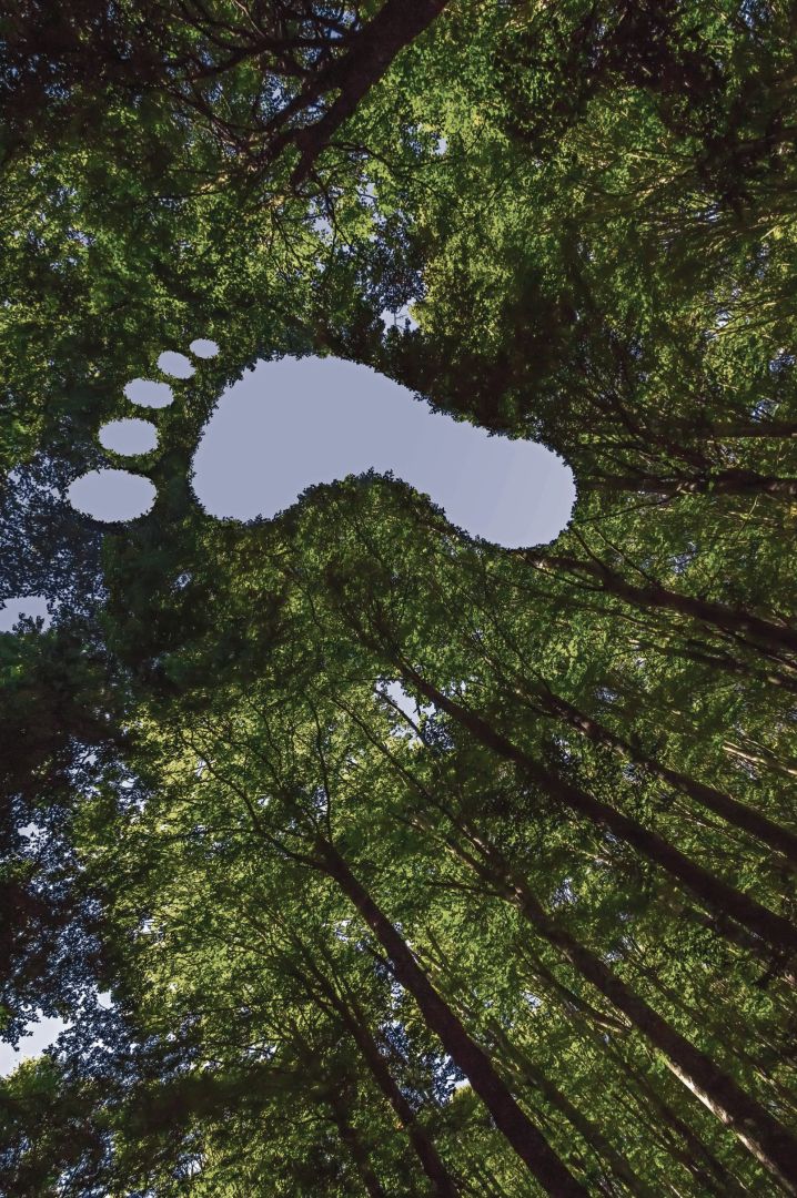 Karton als Motor einer resilienten europäischen Kreislaufwirtschaft