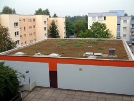 (K)ein Dach wie jedes andere