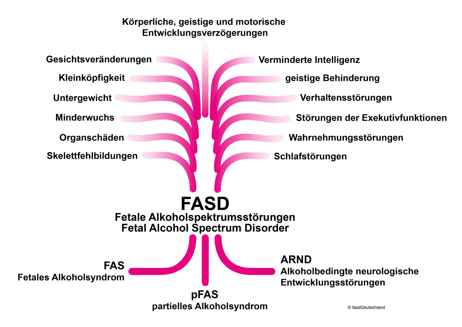 Kein harmloses Glas: Alkohol in der Schwangerschaft schädigt lebenslang
