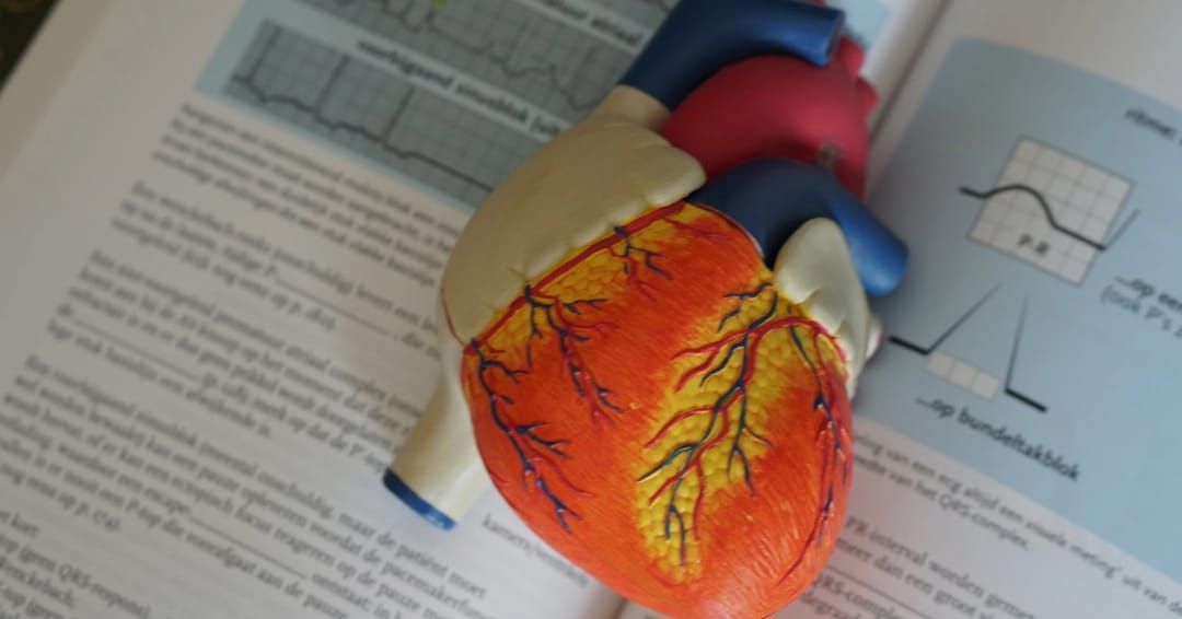 Kenntnisprüfung vs. Anpassungslehrgang