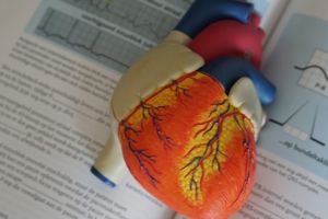 Kenntnisprüfung vs. Anpassungslehrgang