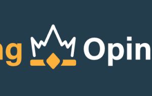 1 EUR Cashback für deine Meinung: Jetzt bei KingOpinion registrieren!