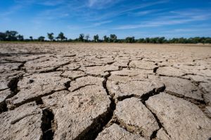Klimawandel