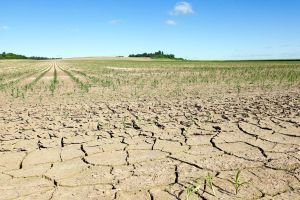 Klimawandel auf der Kippe: Droht Europa die neue Eiszeit?