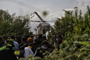 Koka-Anbau in Kolumbien