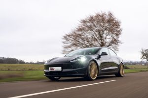 Kompatibel mit Teslas Dämpferregelung: