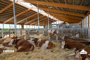 Komplexität im Griff: Wie Wolf System seinen Angebotsprozess standardisiert und skaliert