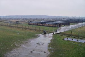 Konzentrationslager Auschwitz (Archiv)