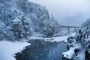 kostenloses stock foto zu abonnieren, brücke, dezember