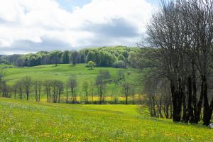 kostenloses stock foto zu ackerland, außerorts, auvergne-rhône-alpes
