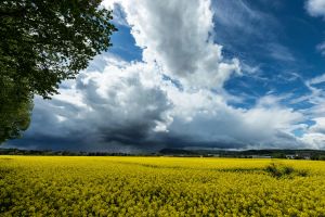 kostenloses stock foto zu außerorts, blauer himmel, blick auf die landschaft