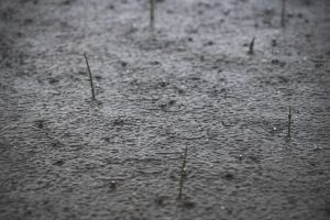kostenloses stock foto zu @draussen, atmosphäre, bewegung