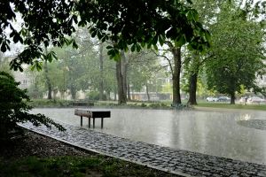 kostenloses stock foto zu @draussen, bank, bäume