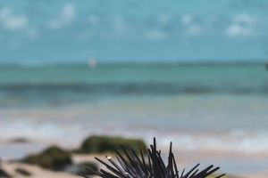 Krank im Urlaub? Gut versichert verreisen