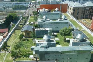 Künstliche Intelligenz repariert kein Dach