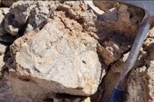 Kupferpreis macht den Kupfergesellschaften Freude