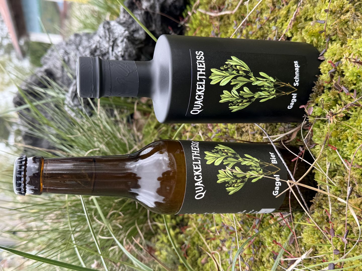Land Hadeln/Ahlenmoor/Cuxland: Wieder da: seltenes Gagelbier aus dem Ahlenmoor feiert Comeback