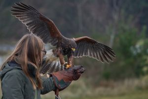 Land Hadeln/Wanna/Cuxland: Ferienaktion im MoorIZ Ahlenmoor am 7. Juli 2026