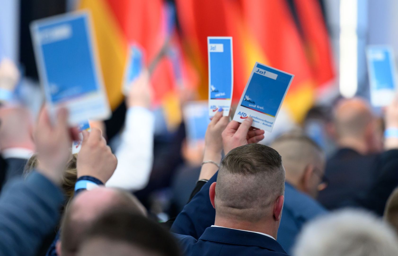 Landesparteitag AfD Sachsen-Anhalt