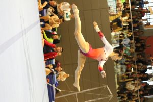 Landesturnfest 2026: Konstanz bewegen, Konstanz erleben