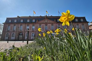 Landtag von Rheinland-Pfalz (Archiv)