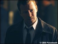 Lange «Blue Bloods»-Strecke an Christi Himmelfahrt