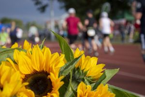 „Laufend gegen Krebs“ am 18. Juni 2025 in Dresden