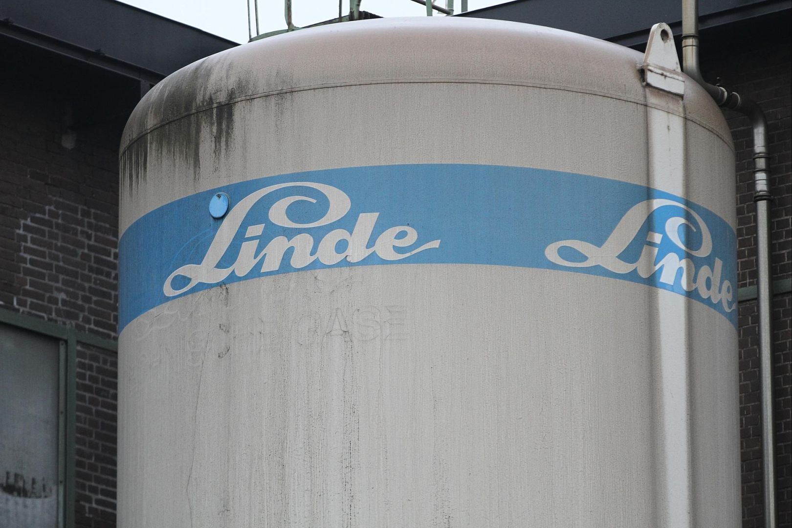 Linde (Archiv)