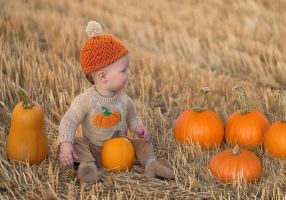 little boy, fall, autumn, pumpkins, november, thanksgiving, harvest, october, season, toddler, kid, child