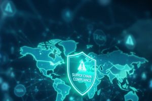 LkSG in Deutschland, VSoR in der Schweiz: Validato hilft bei der Supply Chain Compliance