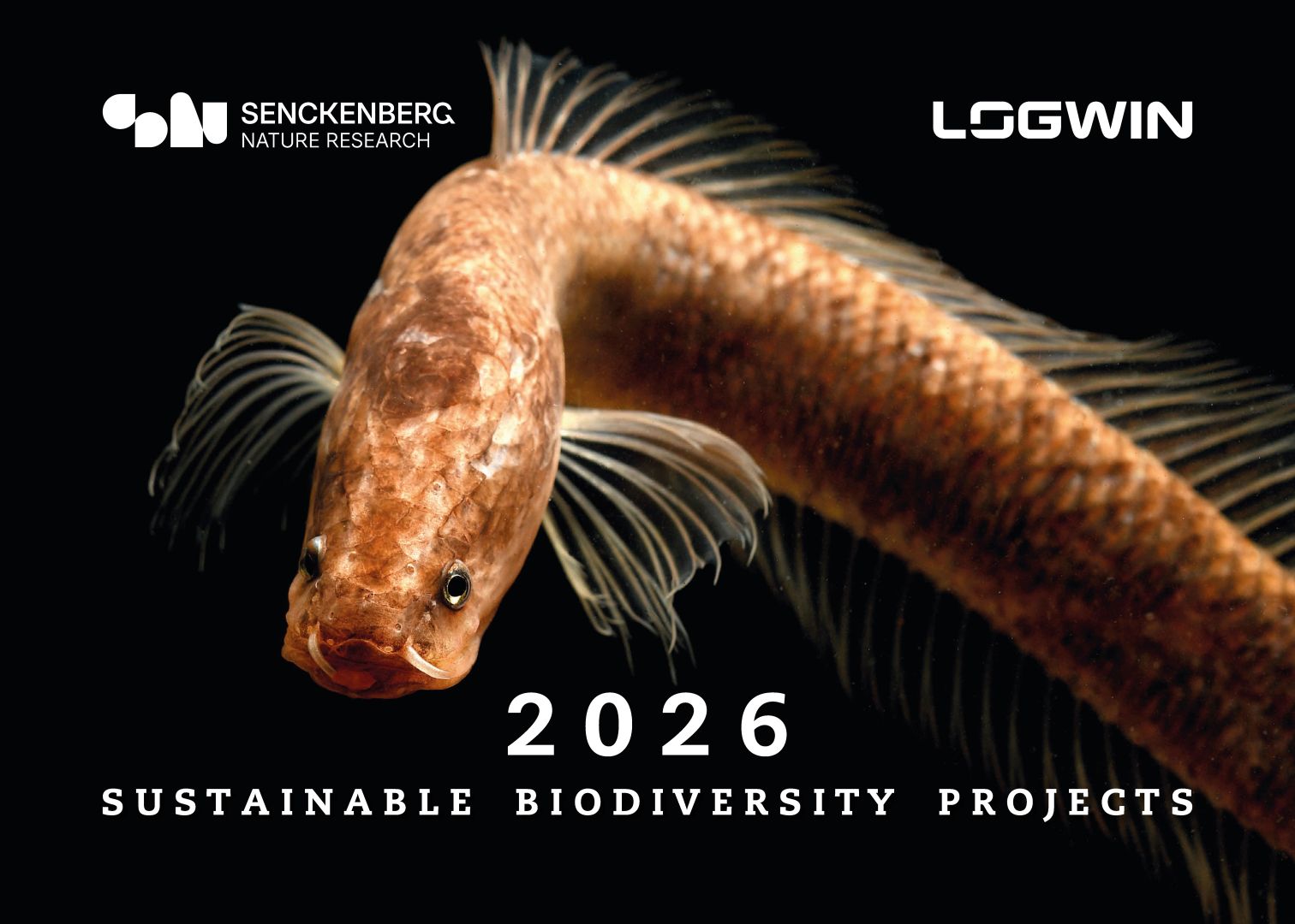 Logwin und Senckenberg präsentieren gemeinsamen Fotokalender „One of a Kind“